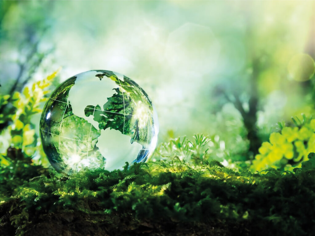 The Sustainability Game The Sustainability Game